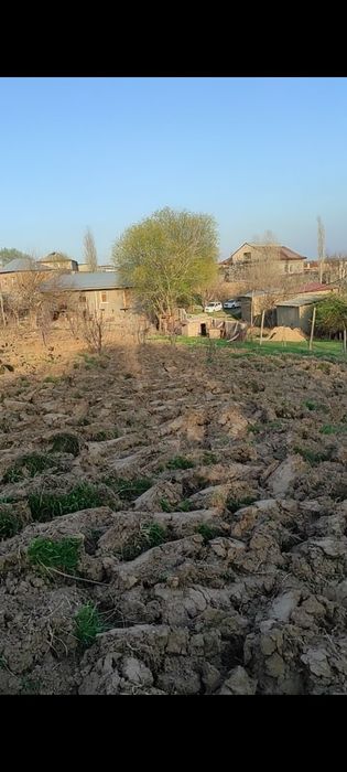 Qibrayda 8 sotik va qoshimcha 20 sotik xovli sotilmoqda