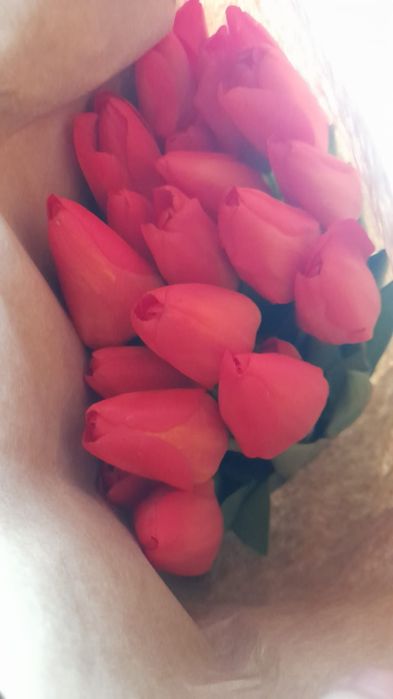 Тюлпаны свежие с луковицами оптом 24/7