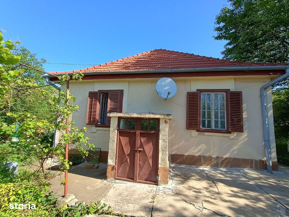 Vila din Gradina Racoți / Conac 5 camere / 6000m2
