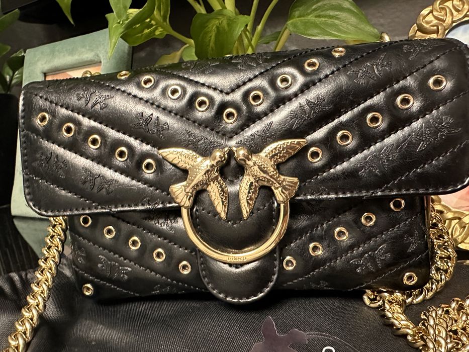 Pinko poseta de piele