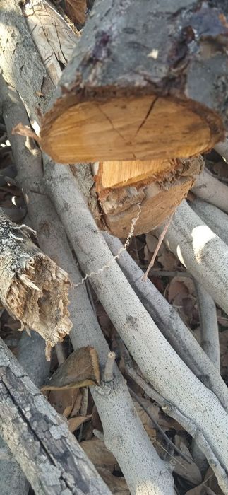 Продаю дрова и ветки от фруктовых деревьев