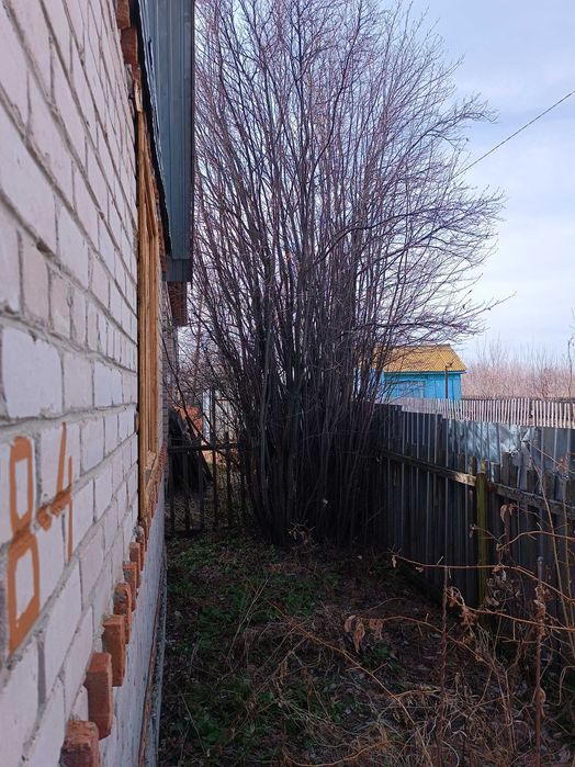 Продам дачу в СК Ромашка