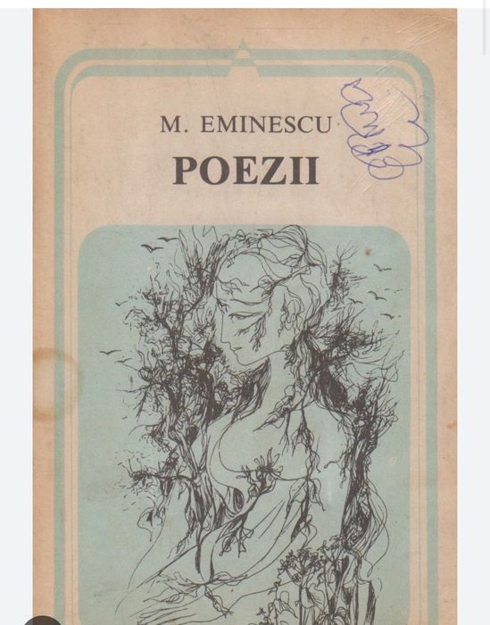 Meditații online limba și literatura română