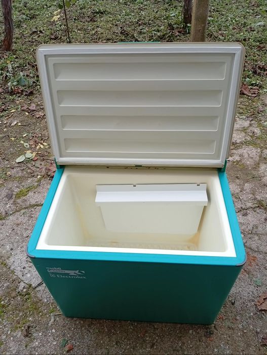 Хладилни  чанти, които работят на ток и газ.