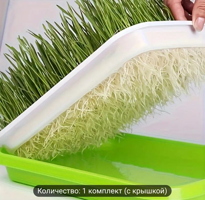 Контейнер для выращивания микрозелени