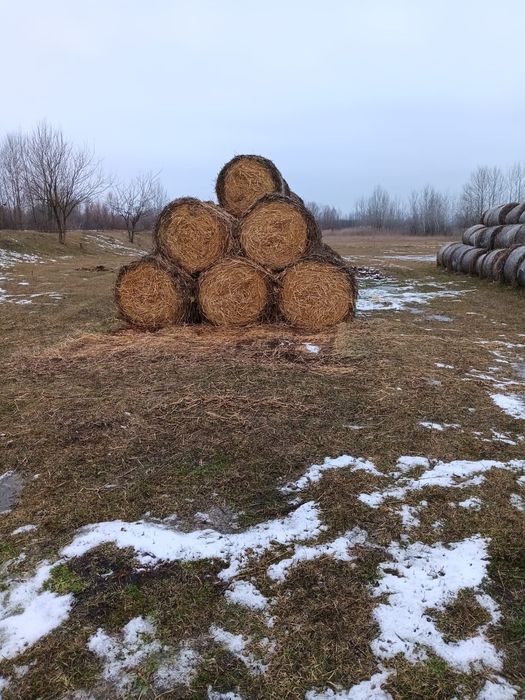 Vând baloți rotunzi