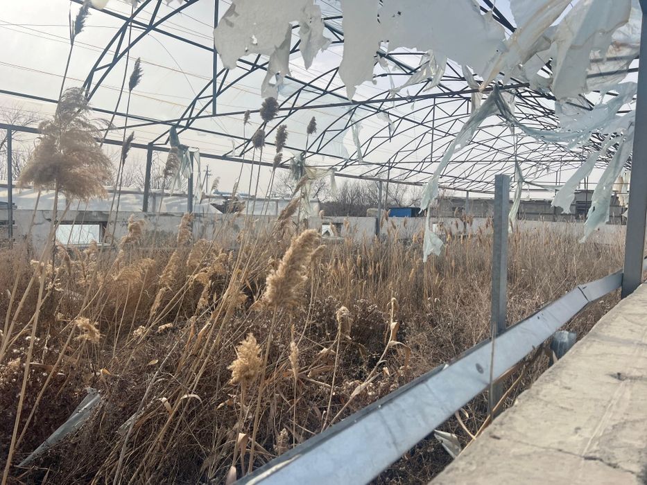 Аренда теплицы в балауса