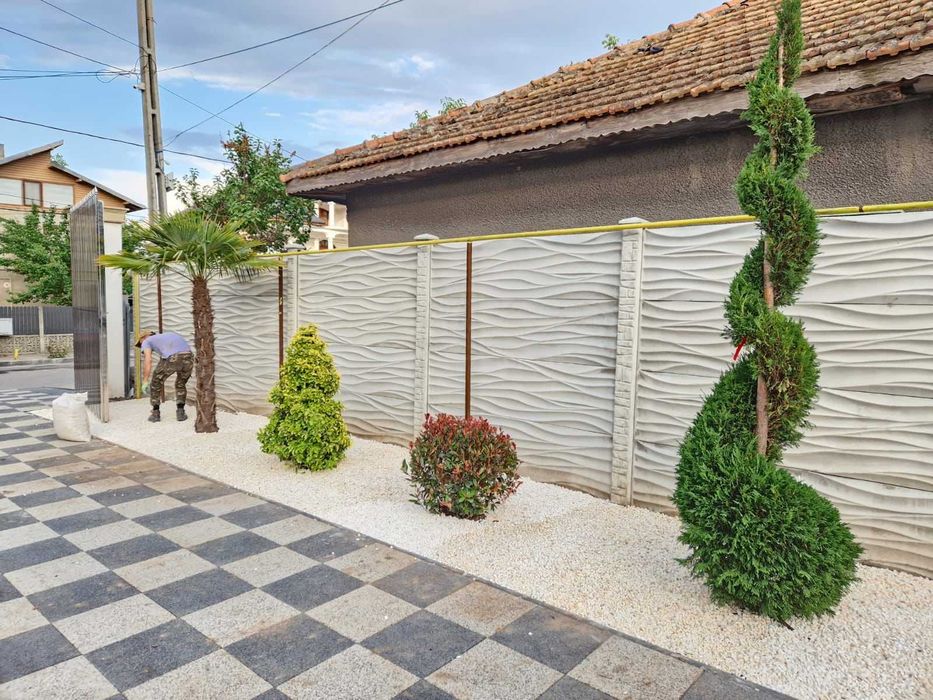 Plante Ornamentale – Livrare Rapidă în Țară