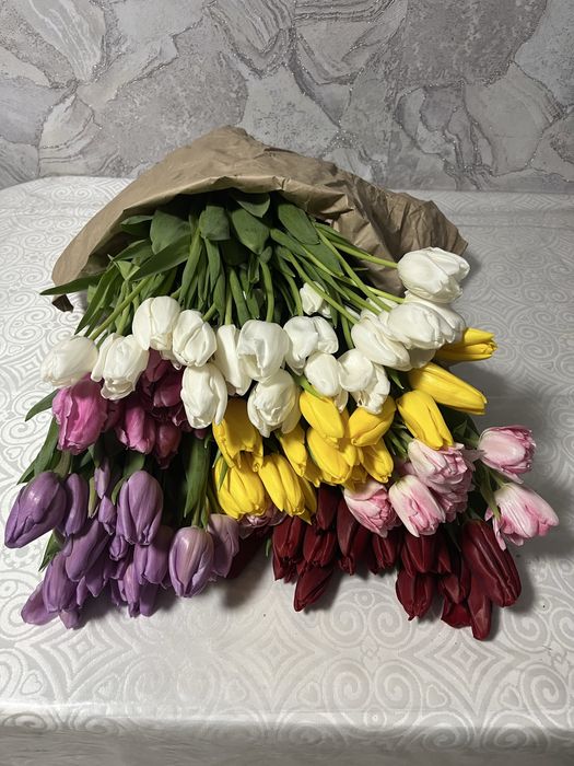 Тюльпаны свежиее