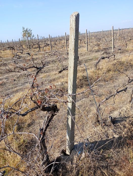 Spalieri de beton de vânzare cu transport la tine acasă