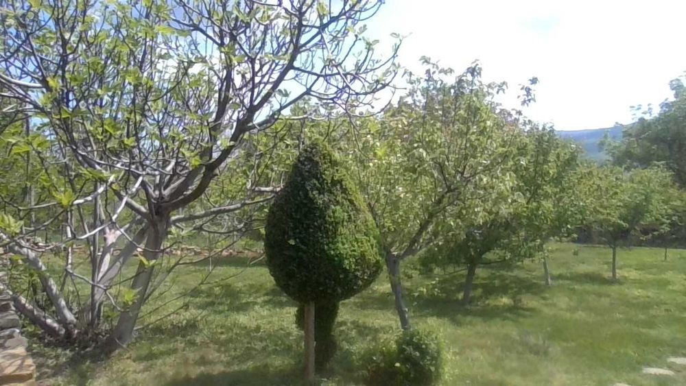 Озеленяване и поддръжка.