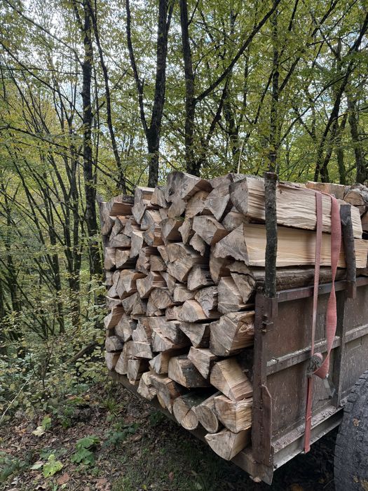 ‼️Vindem lemne de foc la 1800 de lei mașina lemne de esențe tarii‼️
