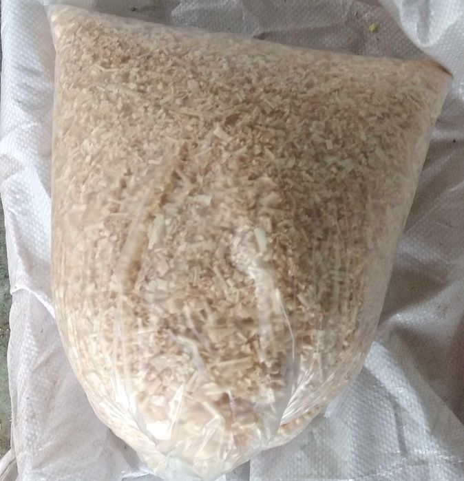 Сирийские хомяки и джунгарские хомяки