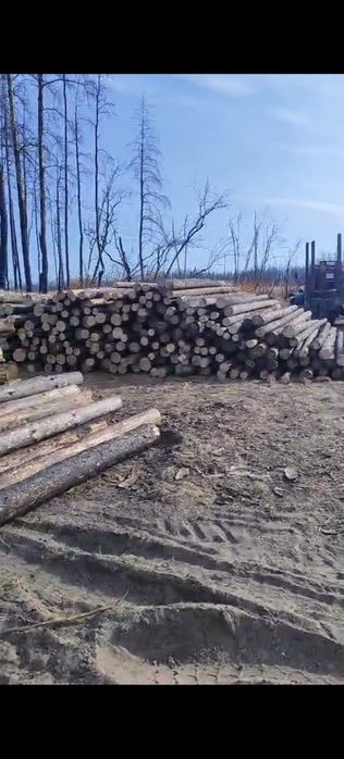 Продам деловой лес