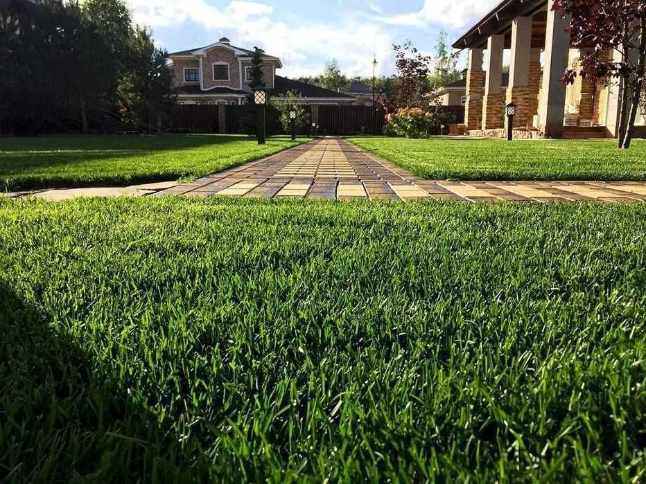 Озеленение участка посадка туй елей газон автополив