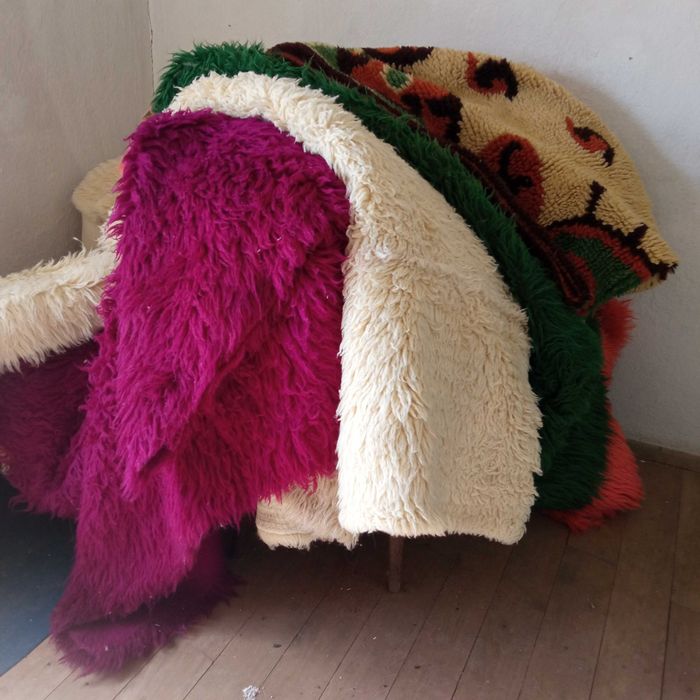 Продавам красиви китеници.