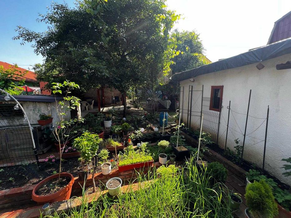 Casă în curs de construcție singură în curte