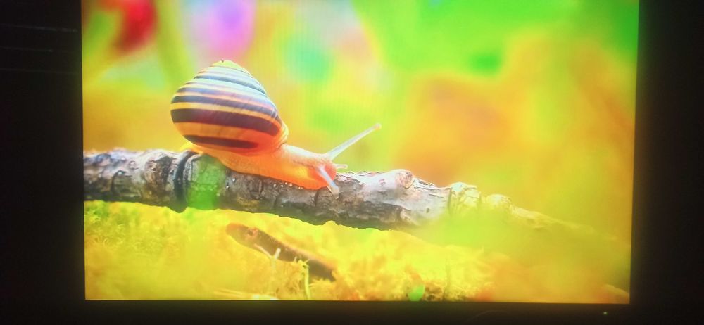 Телевизор Smart 43 самсунг