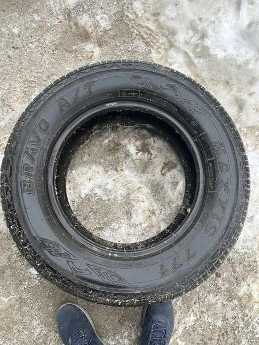 Bravo всесезонные