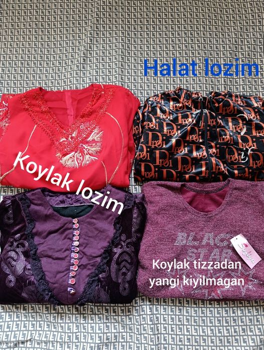 Koylak lozimlar bitta narxda