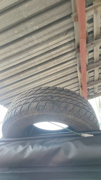 Гуми Radial Wild cat A/T 30x9.50/15