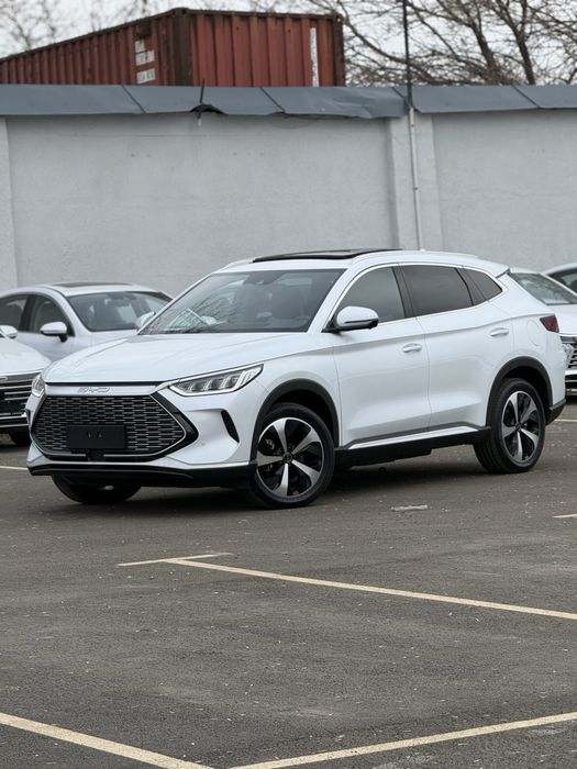 Byd flagship 110 rasrochka