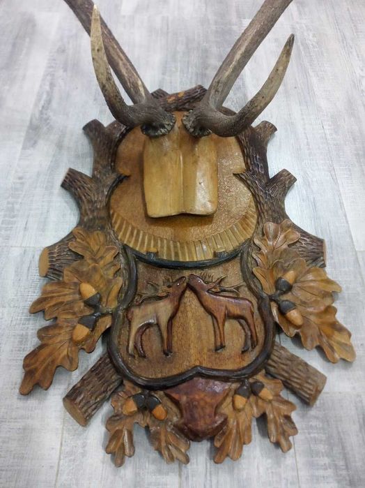 Vand urgent coarne de cerb cu panoplie