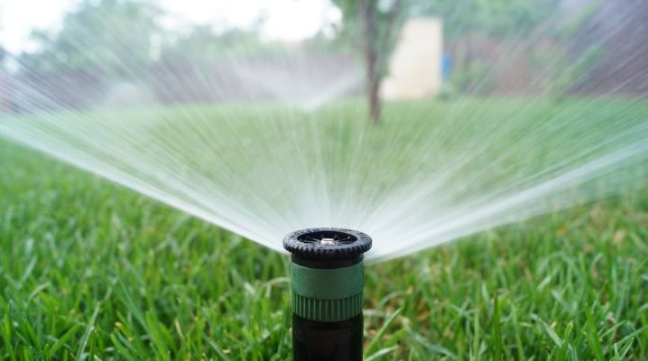 Автополив под ключ