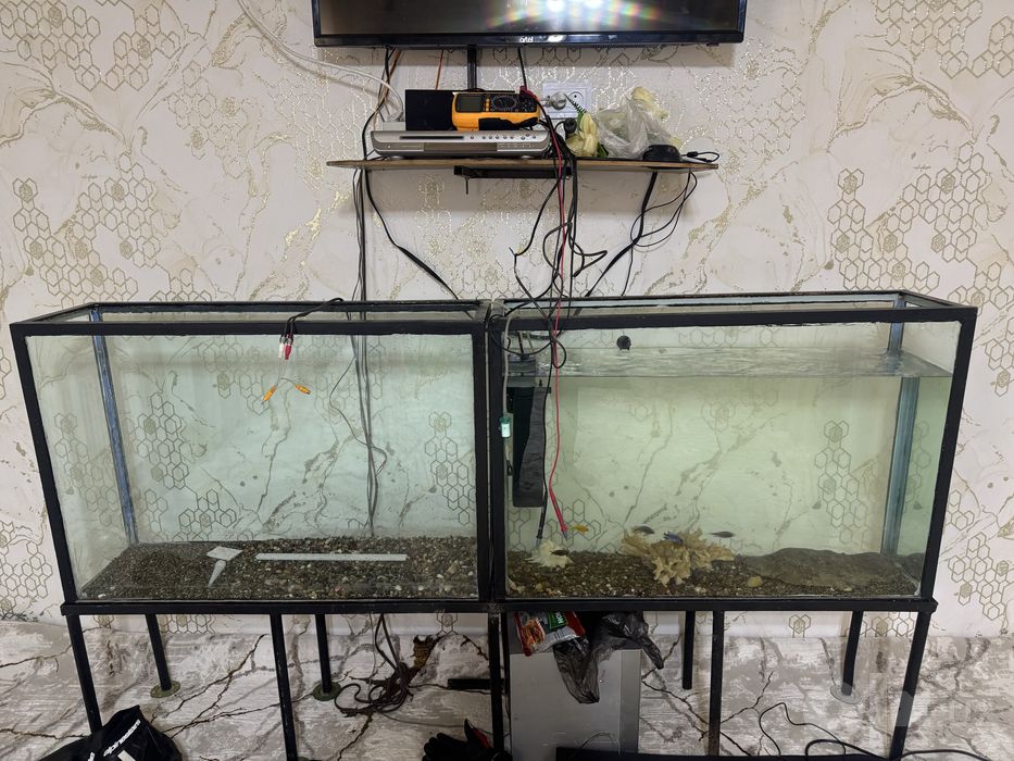 Akvarium 200 litrdan har biri