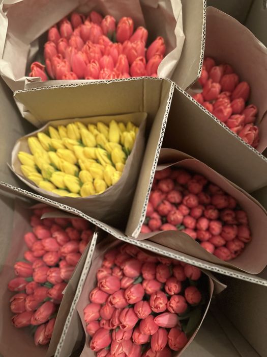 Тюльпаны к 8 марта премиум сорт