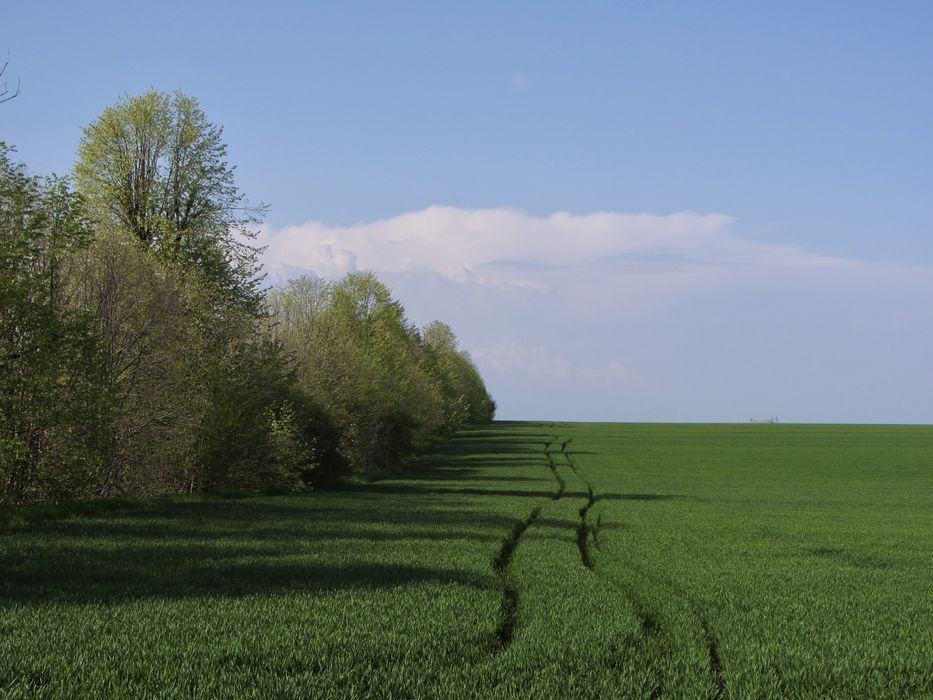 Canon PowerShot SX 220 HS