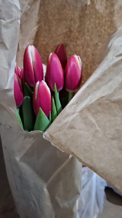 Тюльпаны оптом и в розницу