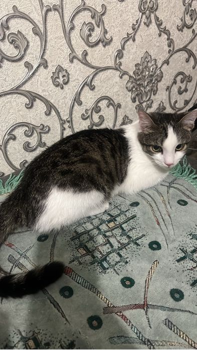 Отдам в хорошие руки