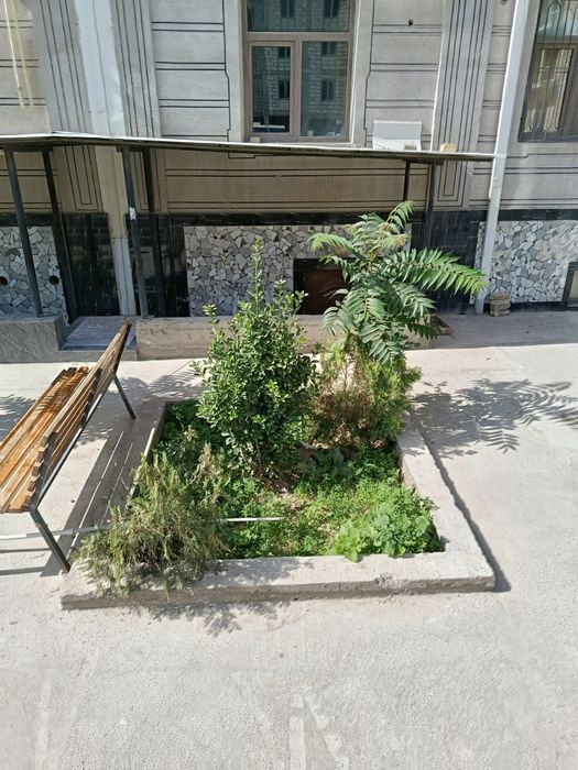 Сдается подвал в аренду