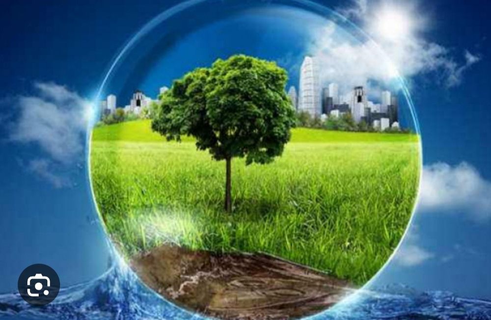 Звос Пдо Пдв Зеп Разработка нормативных документов по экологии