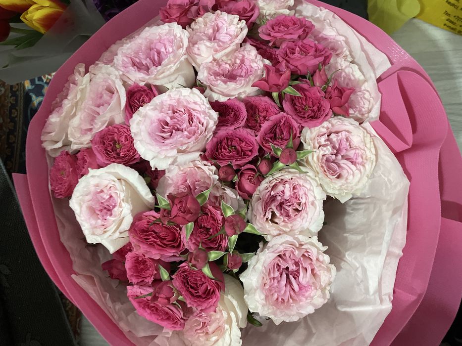 Продам цветы свежие!