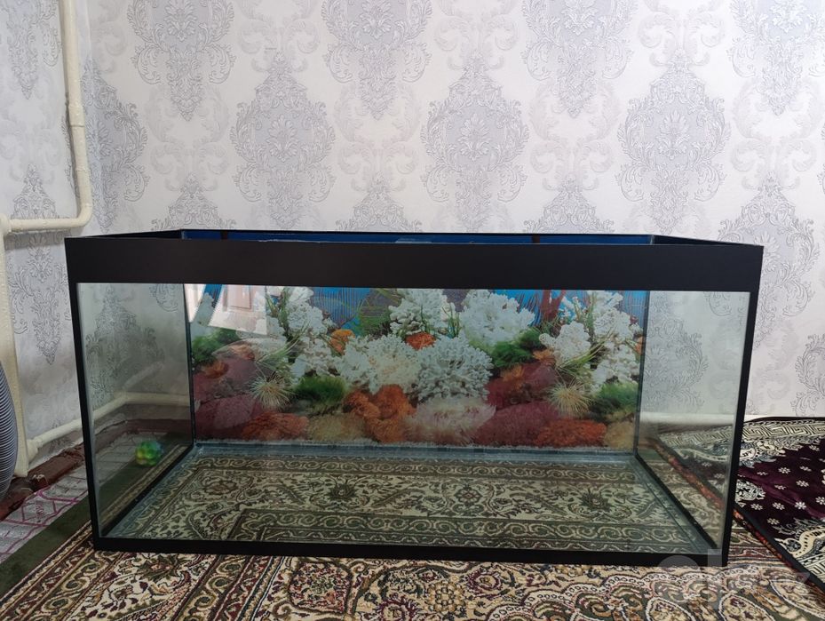 Akvarium 60/120razmer 350litrlik