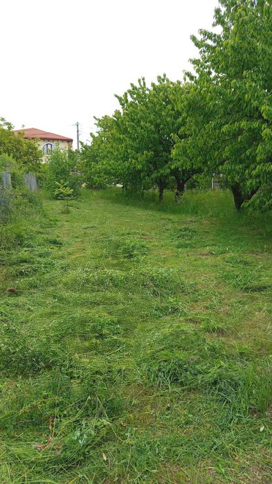 Teren Intravilan 900mp - Focsani, str Dionysos