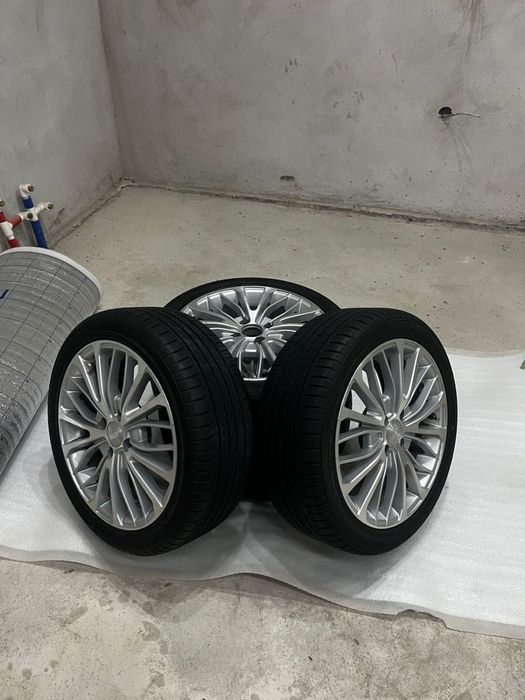 Диска камрикий.