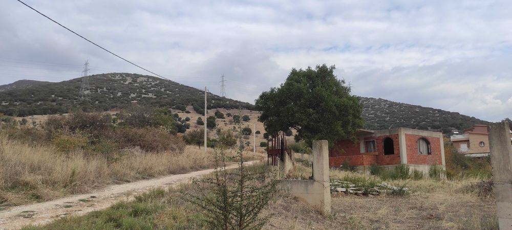 Продава се Къща в София, Карпузица - 50 кв.м за 600 €/кв.м - Снимка #6