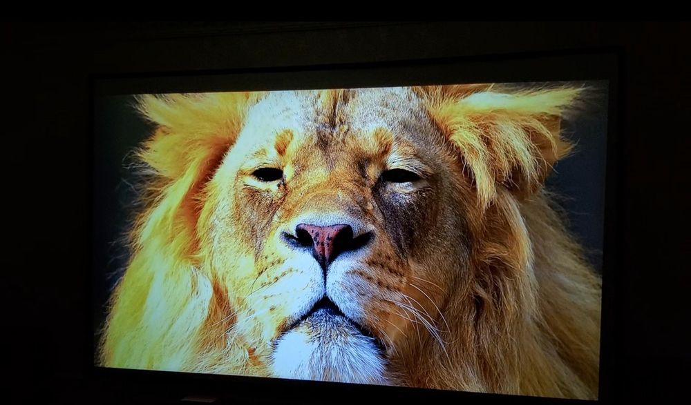 Проектор Everycom HQ9 W Ultra Premium