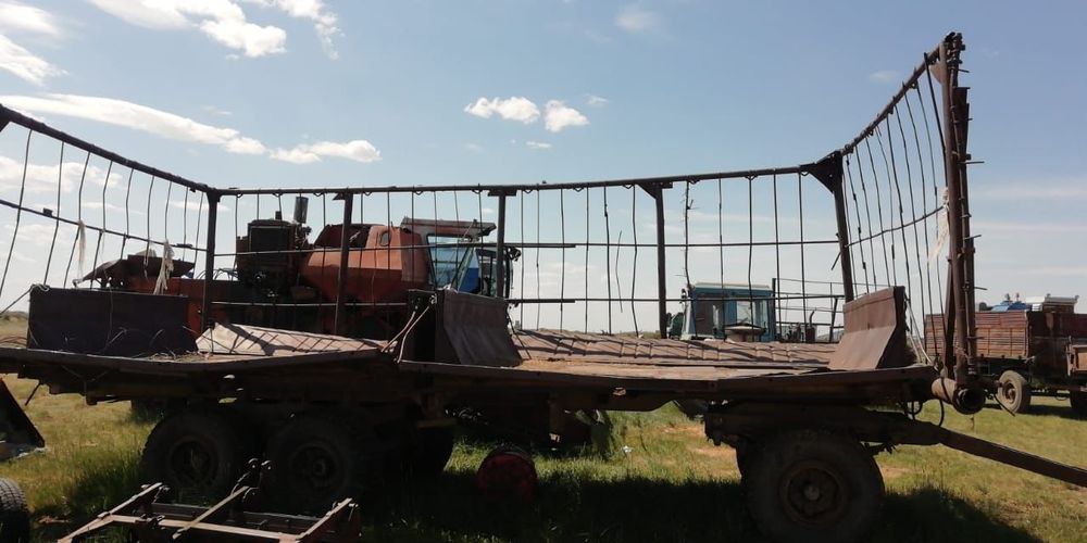 Птс 12 прицеп сеновоз