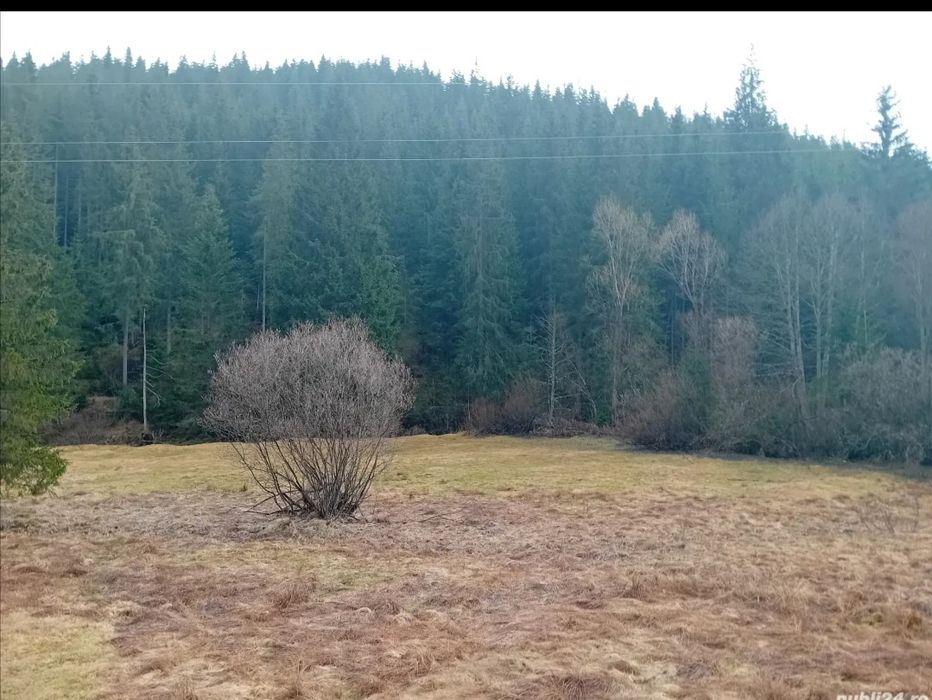 Teren de vinzare,si Casă cu anexe