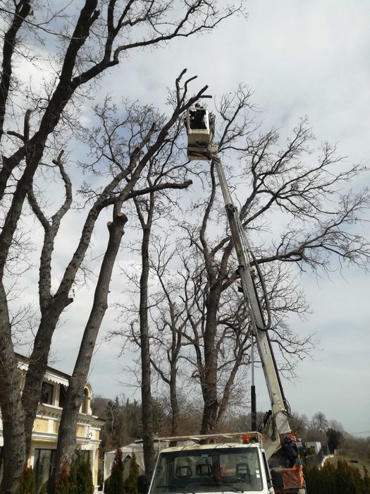 Автовишка под наем 15 метра.