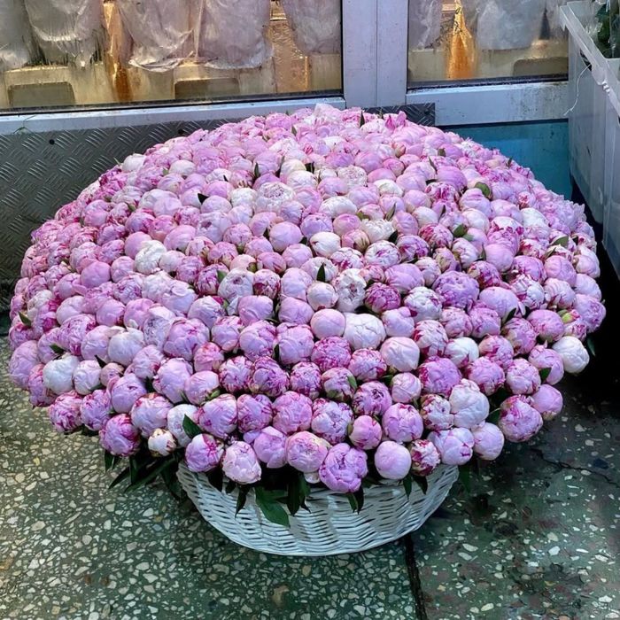 Пионы Тюльпаны Розы цветы букет