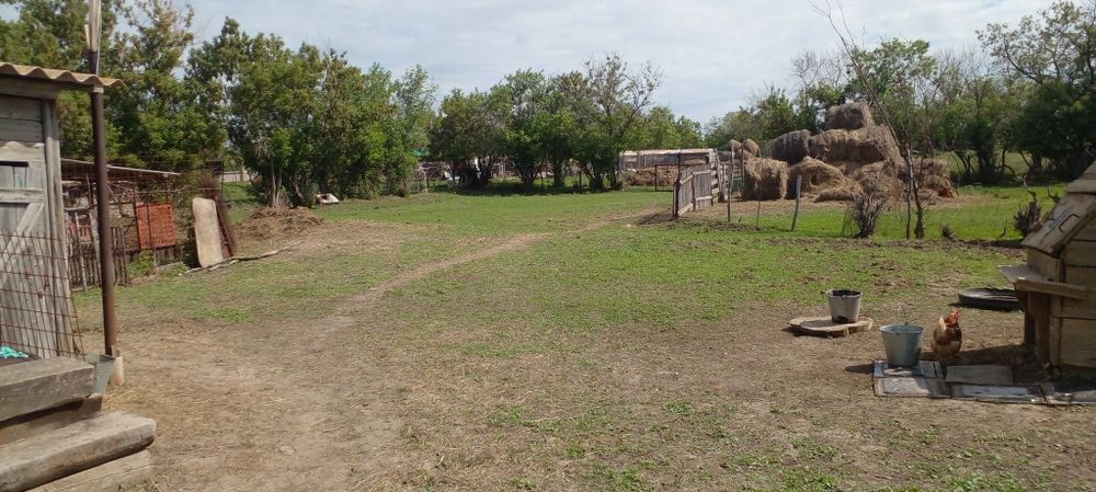 Тез арада Үй сатылады.