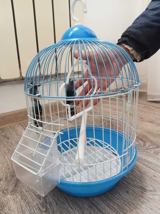 Құсқа арналған тор (жағдайы жақсы)