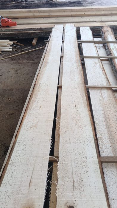 Vand cherestea de tei netivita