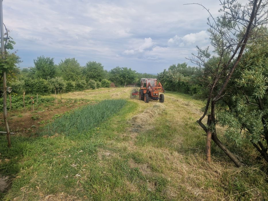 Casă locuibilă, Service auto la cheie, +1600m teren