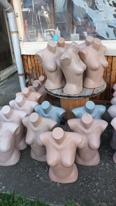 Торсове- около 60бр.